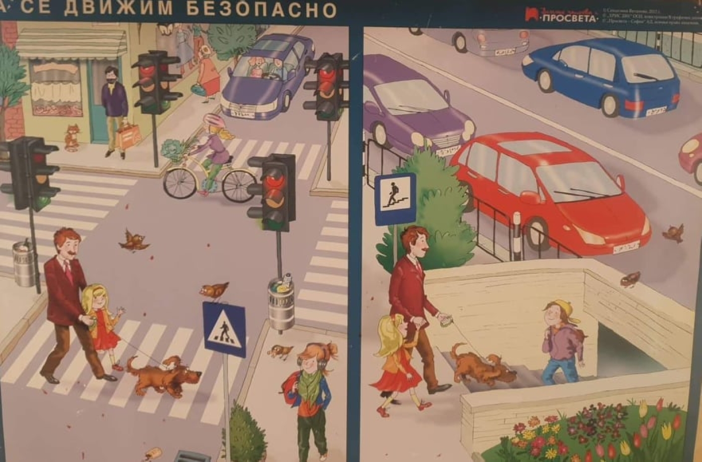 29 юни – Ден на безопасността на движение по пътищата.